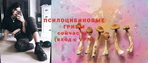 PSILOCYBIN Бронницы